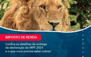 Recomendado só para você!